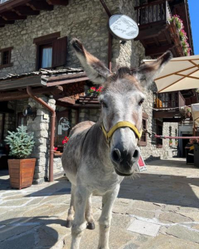 Hotel La Grange - Animal Chic Hotel Courmayeur